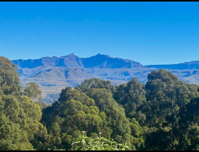 FARM FOR SALE IN UNDERBERG